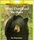 Please Don't Feed the Bears (Rookie Read-About Science)