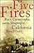 Five Fires by David  Wyatt