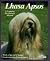 Lhasa Apsos: Everything Abo...