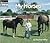 My Horses by Heather  Miller