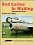 Red Ladies in Waiting, Soviet Aircraft in Storage - Aircraft Specials series (6065)