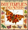 Butterflies and Moths (Usborne First Nature)