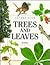 Trees and Leaves (Nature Club)