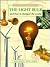 The Light Bulb and How It Changed the World (History and Invention)