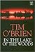 In the Lake of the Woods by Tim O'Brien