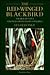 The Red-Winged Blackbird: T...