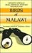 Birds of Malawi by Kenneth Newman