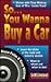 So...You Wanna Buy a Car: I...