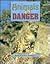 Animals in Danger (Earth Awareness)
