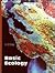 Basic Ecology by Eugene P. Odum