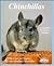 Chinchillas: How to Take Care of Them and Understand Them