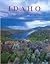 Idaho Discovered by Kirk Anderson