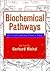 Biochemical Pathways: An Atlas of Biochemistry and Molecular Biology