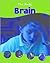 Brain (The Body)