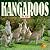 Kangaroos for Kids (Wildlife for Kids Series)