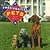 Presidential Pets