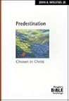 Predestination: Chosen in Christ (The People's Bible teachings)