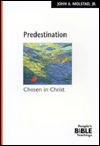 Predestination: Chosen in Christ (The People's Bible teachings)