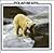 Polar Bears