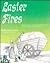 Easter Fires (Stories for Young Americans)