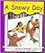 A Snowy Day (Pebble Books)