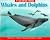 I Can Read about Whales and Dolphins