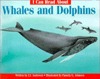 I Can Read about Whales and Dolphins (Paperback)