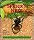 Spider's Nest