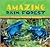 Amazing Rain Forest: Rain Forests Today