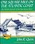 One Square Mile on the Atlantic Coast: An Artist's Journal of the New Jersey Shore (America in Microcosm)