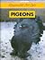 Pigeons (Responsible Pet Care)