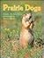 Prairie Dogs