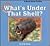 What's Under That Shell?: A Book About Turtles (Creatures All Around Us)