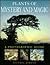 Plants of Mystery and Magic by Michael      Jordan
