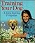 Training Your Dog: A Day-By-Day Program