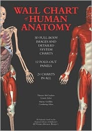 Wallchart of Human Anatomy: 3 D Full-Body Images, Detailed System Charts (Hardcover)