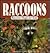 Raccoons: Raccoon Magic for...