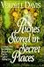 Riches Stored in Secret Places by Verdell Davis