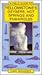 Yellowstone's Geysers, Hot Springs and Fumaroles (Field Guide)