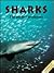 Sharks: The Perfect Predators (Close Up)