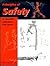 Principles of Safety in Phy...