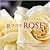R Is For Rose by Carolyn    Parker