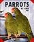 Parrots As a New Pet