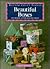 Beautiful Boxes to Create, Cover and Decorate (Milner Craft Series)