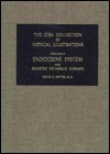 Endocrine System and Selected Metabolic Diseases
