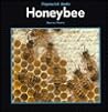 Honeybee (Stopwatch Books.)