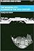 The Modern City: Planning i...