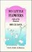 My Little Flowers by Bruce   Davis