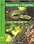 Serpientes y Lagartos / Snakes and Lizards (Yellow Umbrella Books: Science ~ Spanish)