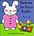 Bedtime for Rosie Rabbit (Lift-The-Flap Book)